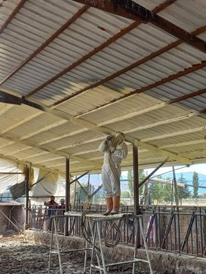 Püskürtme Köpük İzolasyon